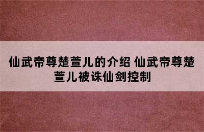 仙武帝尊楚萱儿的介绍 仙武帝尊楚萱儿被诛仙剑控制